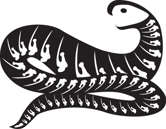 Halloween Scary Snake Skeleton  Illustration