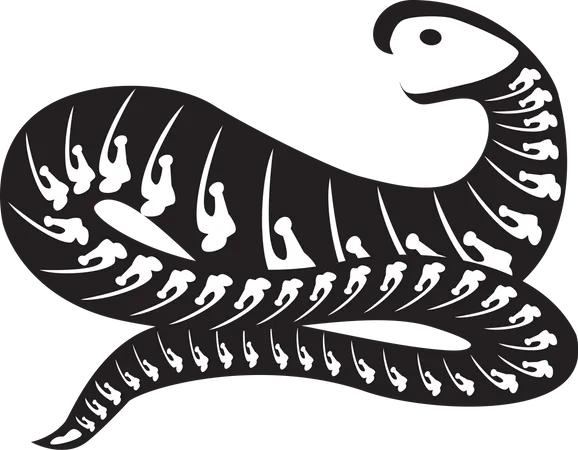 Halloween Scary Snake Skeleton  Illustration