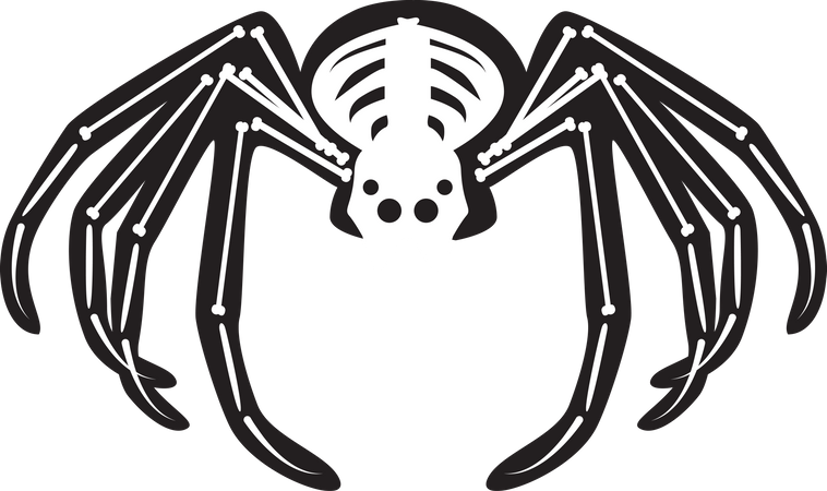 Halloween Scary Spider Skeleton Illustration