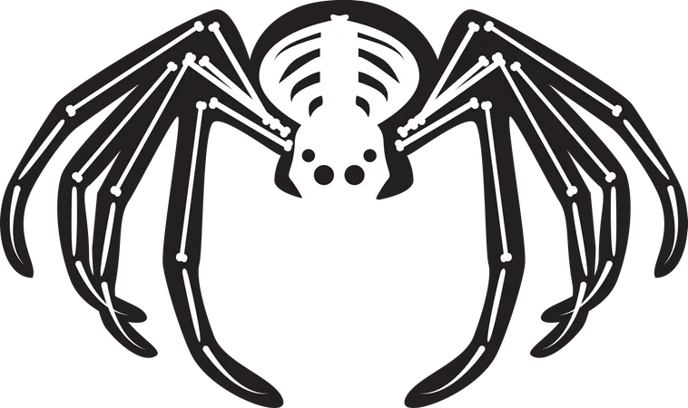 Halloween Scary Spider Skeleton  Illustration