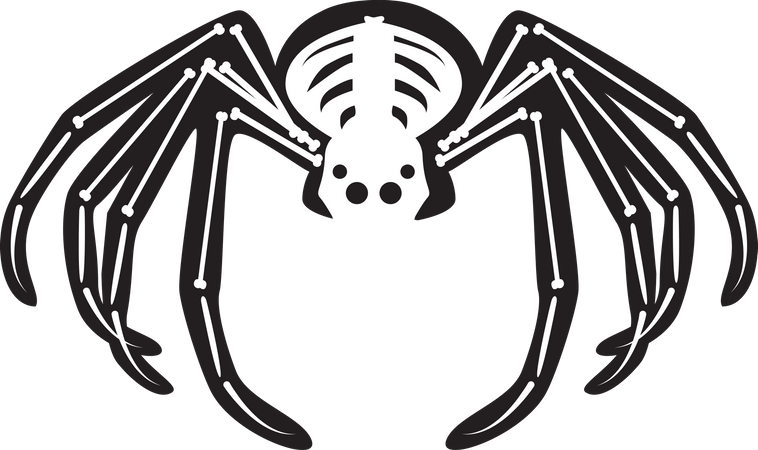 Halloween Scary Spider Skeleton  イラスト