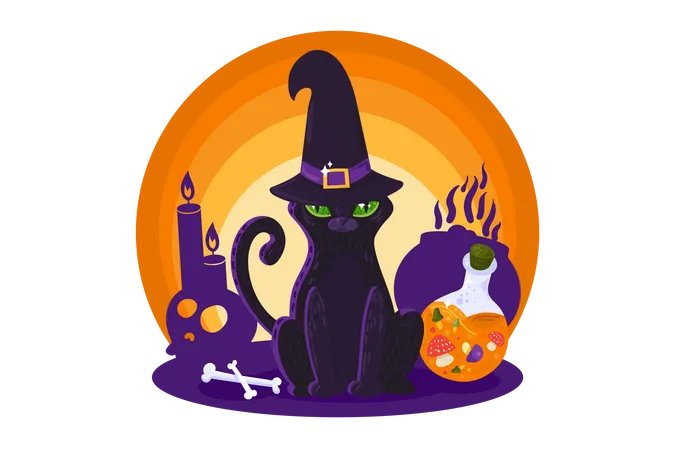 Halloween Witch Cat  Illustration