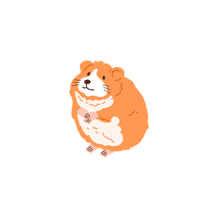 Hamster rouge  Illustration