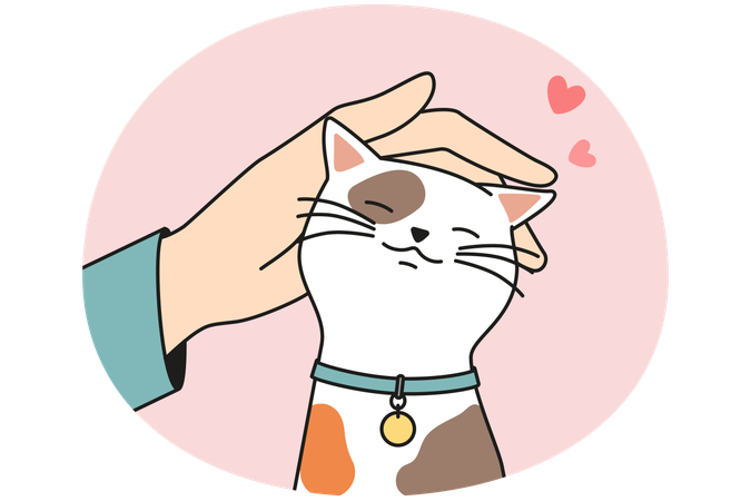 かわいい猫を手で撫でる  イラスト