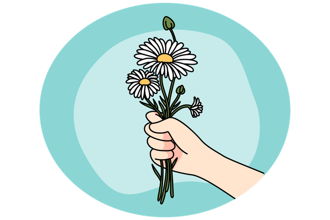 Hand holding daisies bouquet  Illustration