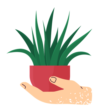 Hand holding house plant Illustration