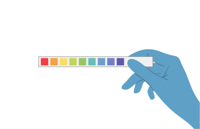Hand holding litmus test  Illustration