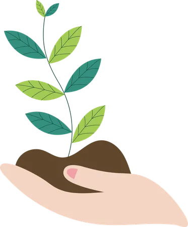 Hand holding plant  Illustration