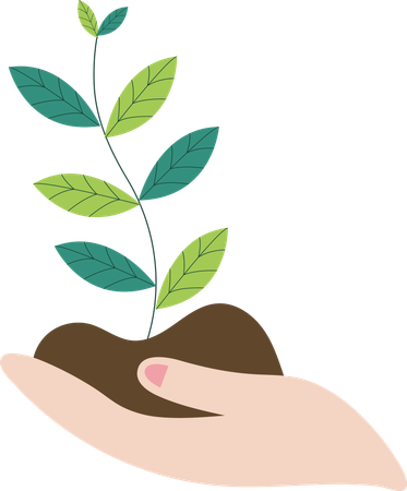 Hand holding plant  Illustration