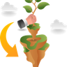 illustration for sapling