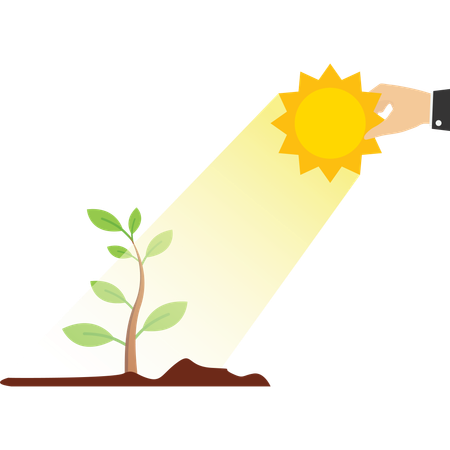 苗を照らすために太陽を握る手  イラスト
