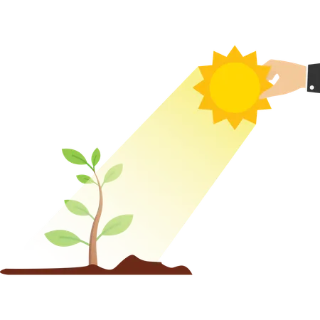 光合成。苗を照らすために太陽を持つ手。投資、繁栄、経済成長、または貯蓄とビジネス利益の概念。 イラスト