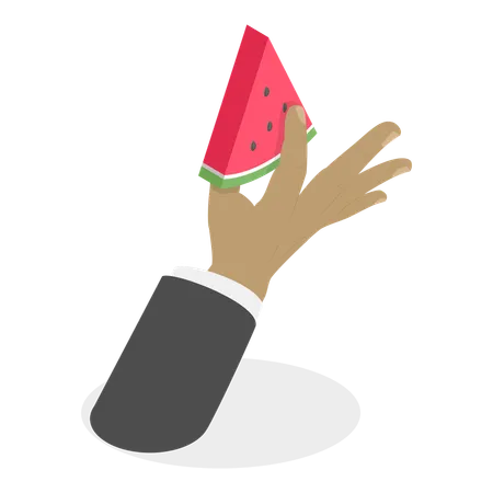 Hand holding watermelon  Illustration