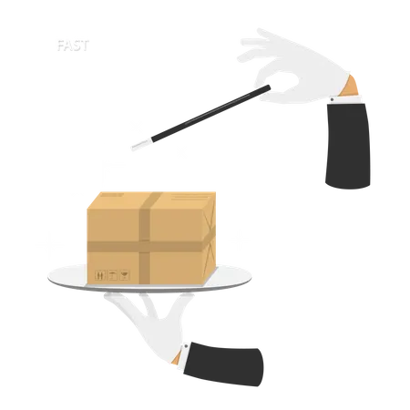 Hand of magician made parcel by magic wand  Illustration