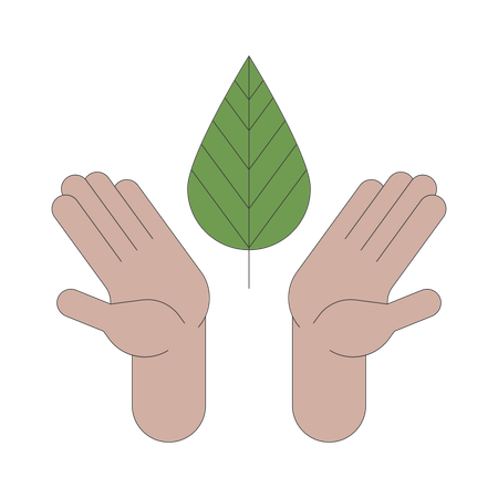 Hands holding leaf  Illustration