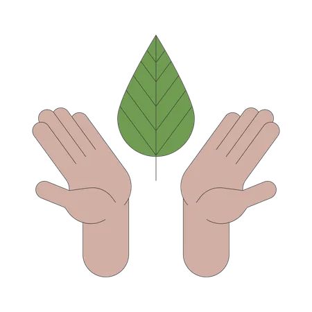 Hands holding leaf  Illustration