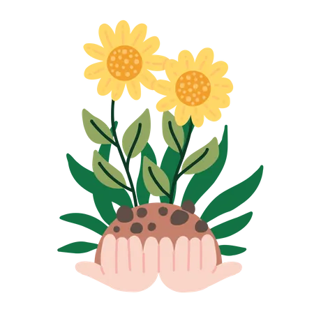 Hands holding Sunflowers  Illustration
