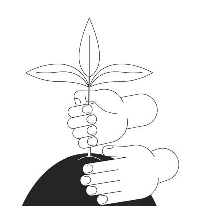 Hands Planting Plant In Soil Bw Concept Vector Spot Illustration Gardening 2 D Cartoon Flat Line Monochromatic Hand For Web UI Design Editable Isolated Outline Hero Image Illustration