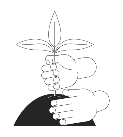 Hands planting plant in soil  Illustration