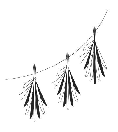 Hanging herb bundles for drying  Illustration