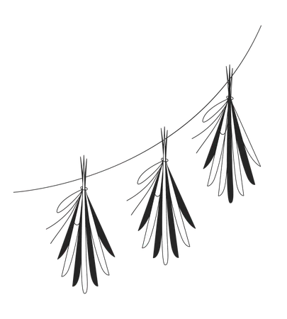 Hanging herb bundles for drying  Illustration