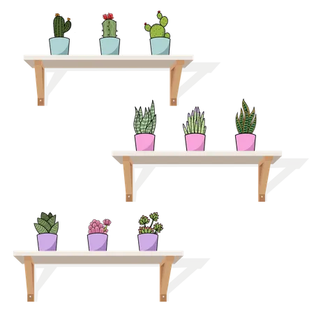 Hanging pots and cactus  Illustration