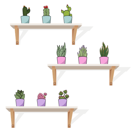 Hanging pots and cactus  Illustration