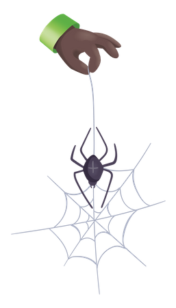 Hanging Spider Illustration