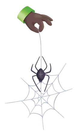 Hanging Spider  Illustration