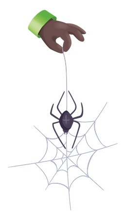 Hanging Spider  Illustration