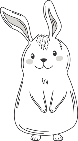 Happy Cute Rabbit Bunny Animal  Illustration