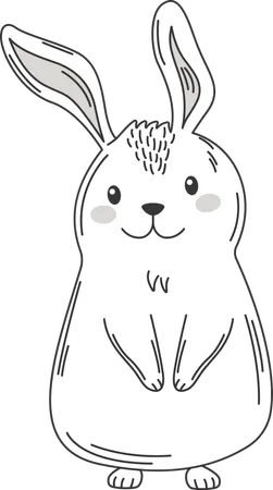 Happy Cute Rabbit Bunny Animal  Illustration