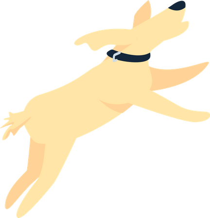Happy dog jumping Illustration