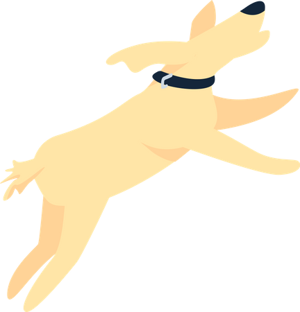 Happy dog jumping  Illustration