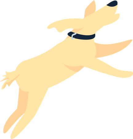 Happy dog jumping  Illustration