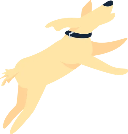 Joyeux chien qui saute  Illustration