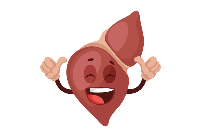 Happy liver Illustration