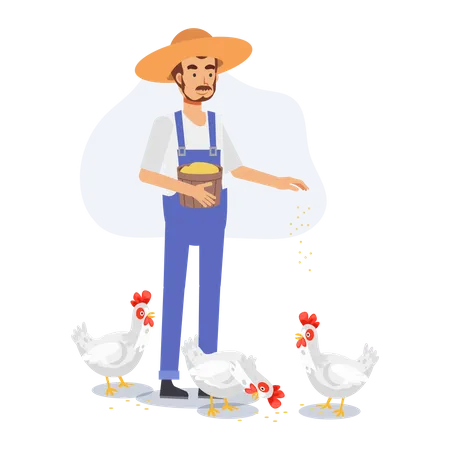 Agriculture Concept A Happy Male Farmer Is Feeding Chicken Flat Vector 2 D Cartoon Character Illustration Illustration