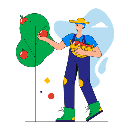 Happy man farmer picking apples in basket  Illustration