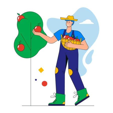 Happy man farmer picking apples in basket  Illustration