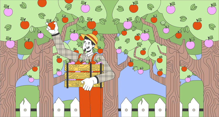 Happy man picking apples in garden  Illustration