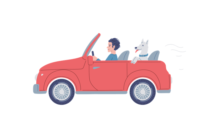 Happy man traveling on cabriolet car with dog  Illustration