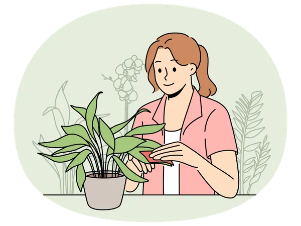 Happy woman clean leaves of houseplant  Illustration
