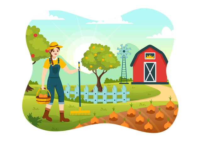 Harvest Season  Illustration