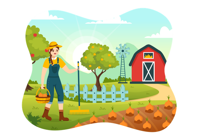 Harvest Season  Illustration