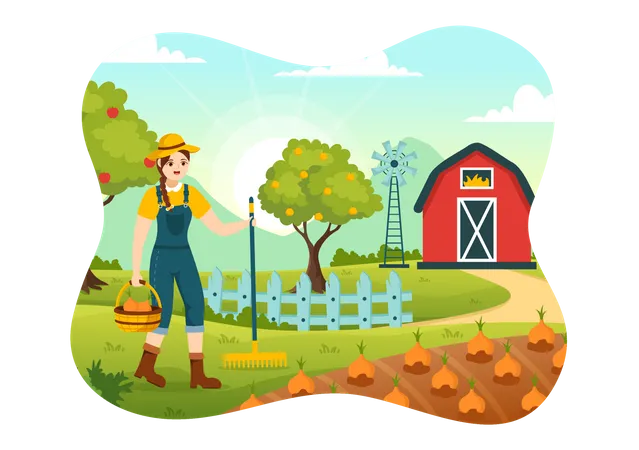 Harvest Season  Illustration