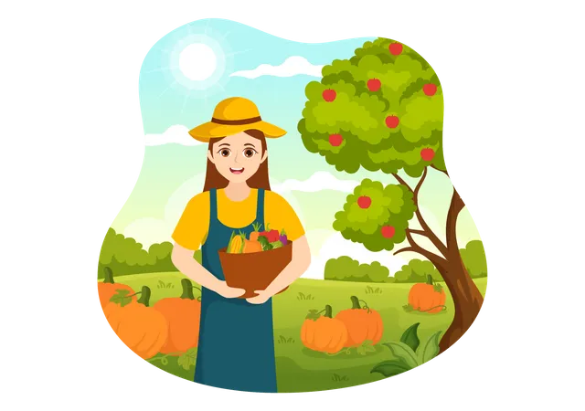 Harvest Season  Illustration