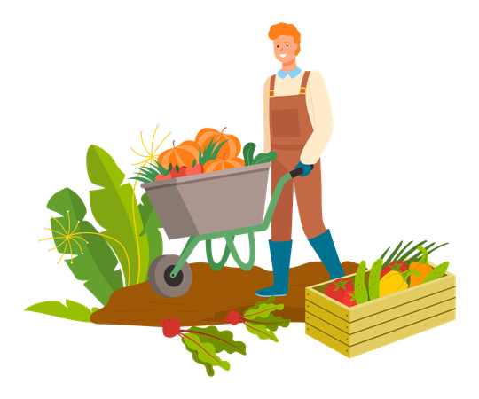 Harvesting man with cart  Illustration