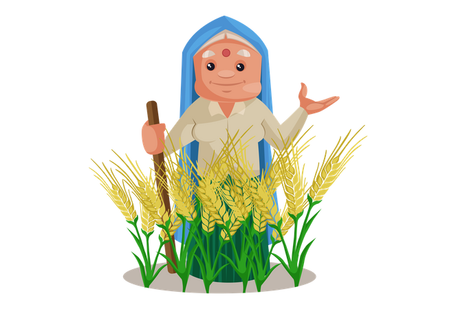 Haryanvi Woman in wheat crop agricultural land  Illustration