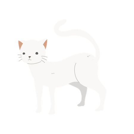 Hauskatze  Illustration